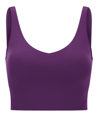 Valencia Sports Bra - Aubergine